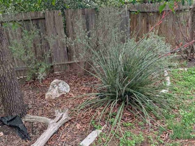 Lawn care service in San Antonio, 78258