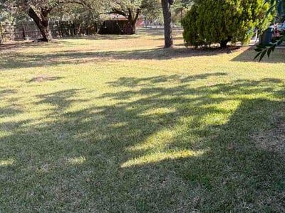 Lawn care service in Bryan, 77802