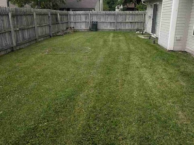 Lawn care service in Indianapolis, 46254