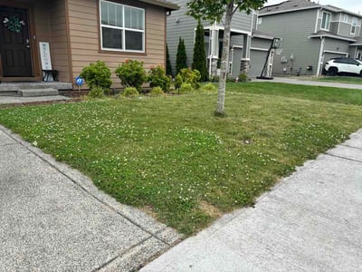 Lawn care service in South Hill, 98374