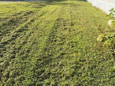Lawn care service in Walhalla, 29691