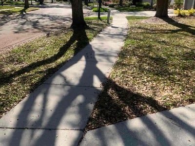 Lawn care service in Tampa, 33647