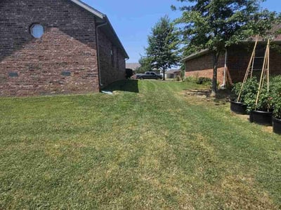 Lawn care service in Republic, 65738