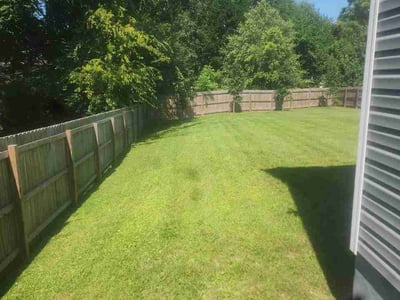 Lawn care service in Norfolk, 23504