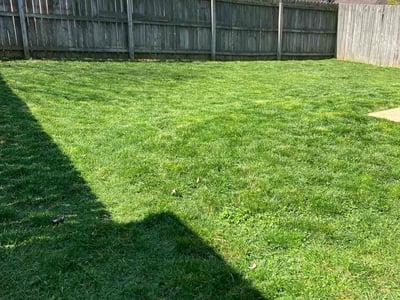 Lawn care service in Lexington, 40511