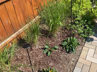 Lawn care service in Chicago, 60631