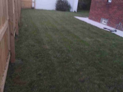Lawn care service in Detroit, 48235