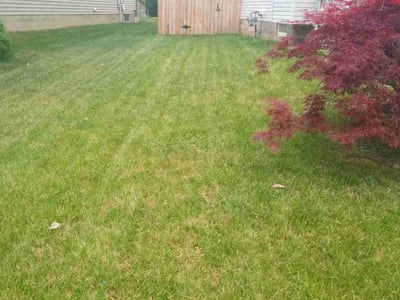 Lawn care service in Galloway, 43119