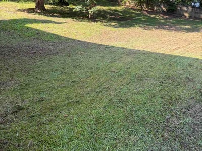 Lawn care service in Fairburn, 30213