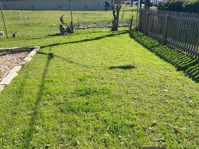 Lawn care service in Austin, 78723
