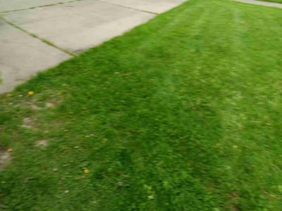 Lawn care service in Indianapolis, 46254