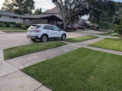 Lawn care service in Metairie, 70002