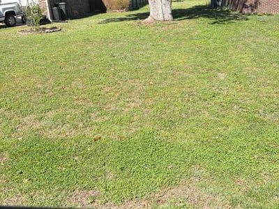 Lawn care service in Jackson, 38305
