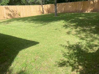 Lawn care service in Dallas, 75215