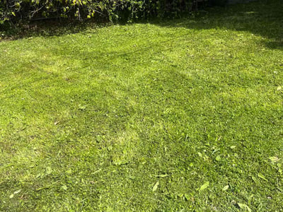 Lawn care service in Los Angeles, 90047