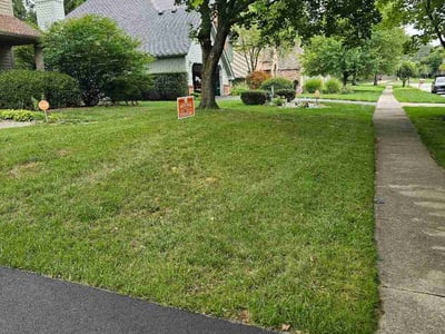 Lawn care service in Toledo, 43617