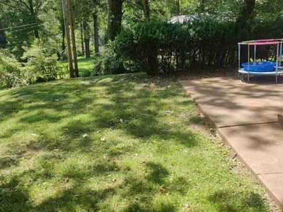 Lawn care service in St. Louis, 63135