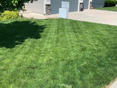 Lawn care service in Kansas City, 64152