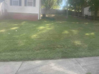 Lawn care service in Raleigh, 27610