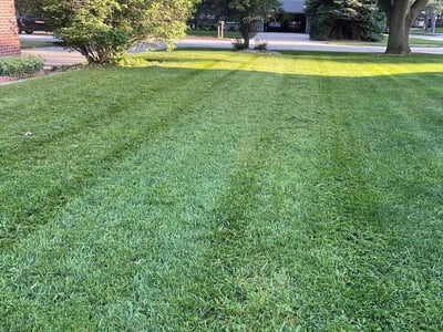 Lawn care service in Omaha, 68022