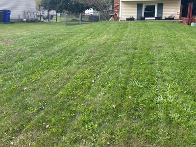 Lawn care service in Mogadore, 44260