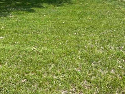 Lawn care service in , 