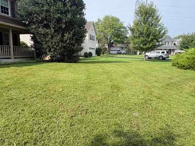 Lawn care service in Olney, 20832