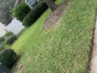 Lawn care service in Orange Park, 32065