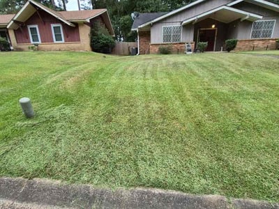 Lawn care service in Jackson, 39212