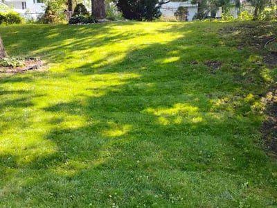 Lawn care service in Minneapolis, 55426
