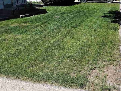 Lawn care service in West Allis, 53219