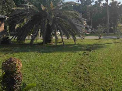 Lawn care service in De Leon Springs, 32130