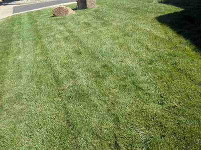 Lawn care service in Centennial, 80112