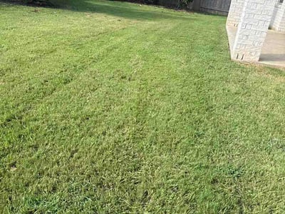 Lawn care service in Fulshear, 77441