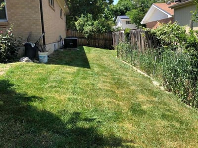 Lawn care service in Centennial, 80122