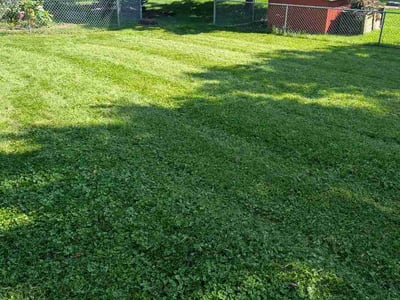 Lawn care service in Indianapolis, 46268