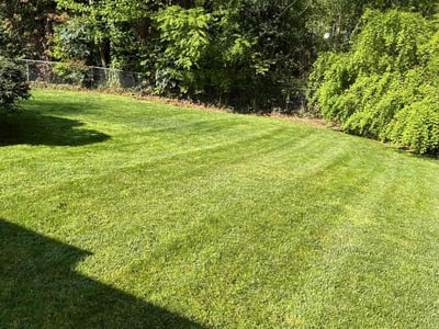 Lawn care service in Roswell, 30075
