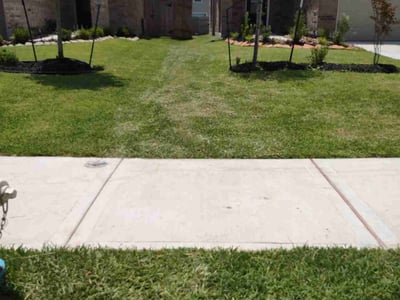 Lawn care service in Porter, 77365