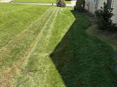 Lawn care service in Fletcher, 28732