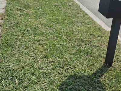 Lawn care service in Chalmette, 70043