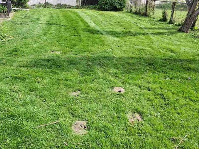 Lawn care service in Lynwood, 60411