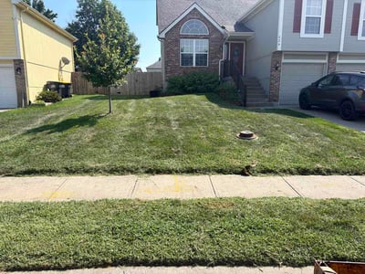 Lawn care service in Blue Springs, 64014
