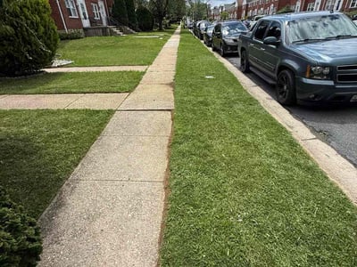 Lawn care service in Baltimore, 21207