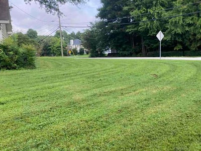 Lawn care service in Lithonia, 30058