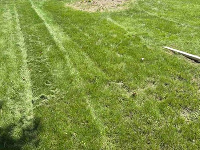 Lawn care service in Allouez, 54301
