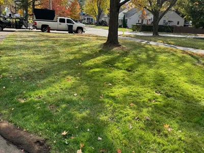 Lawn care service in Royal Oak, 48073