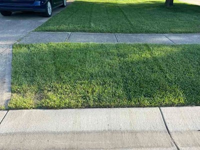 Lawn care service in Mason, 45040