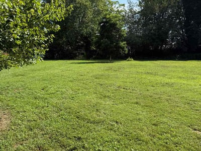Lawn care service in Tullahoma, 37388