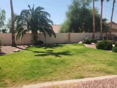 Lawn care service in Mesa, 85207