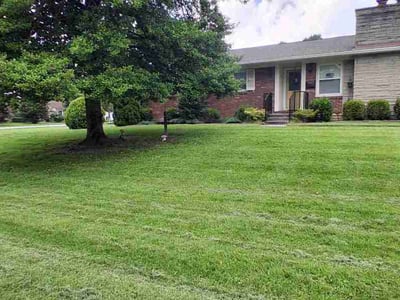 Lawn care service in Louisville, 40222